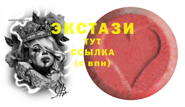 прущие грибы Новодвинск