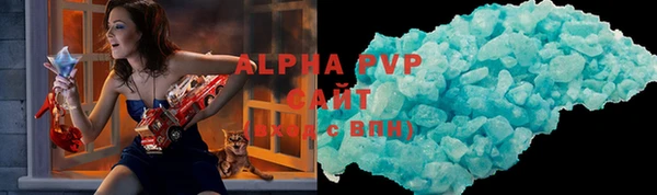 прущие грибы Новодвинск