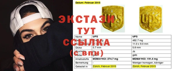 прущие грибы Новодвинск