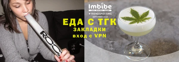 прущие грибы Новодвинск