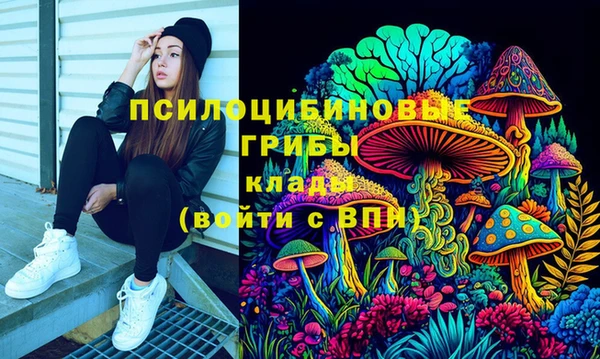mdpv Новокубанск