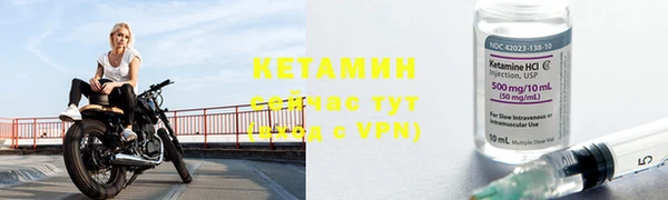 прущие грибы Новодвинск