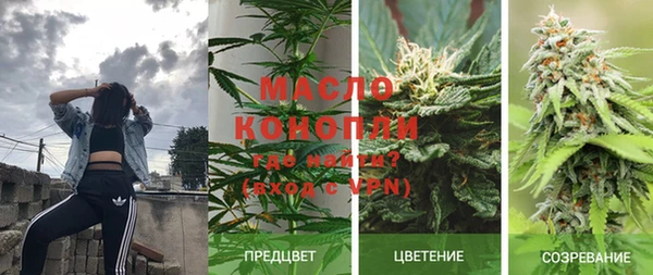 прущие грибы Новодвинск