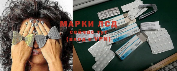 прущие грибы Новодвинск