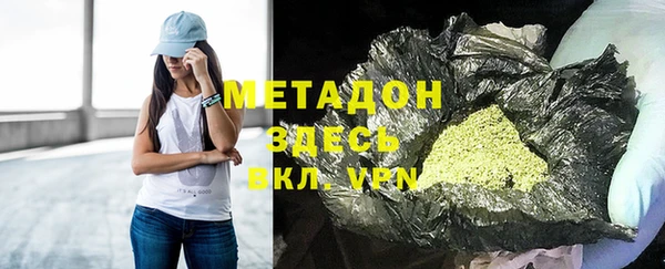 прущие грибы Новодвинск