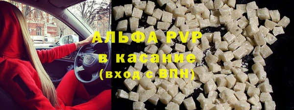 прущие грибы Новодвинск
