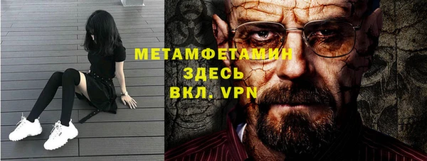 прущие грибы Новодвинск