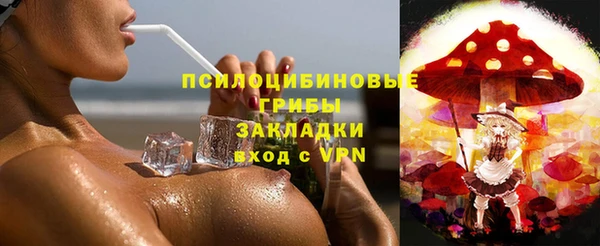прущие грибы Новодвинск