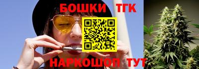 индика Кинель