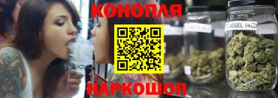 Альфа ПВП Кингисепп