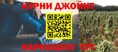 гидра Апрелевка