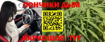 индика Кинель
