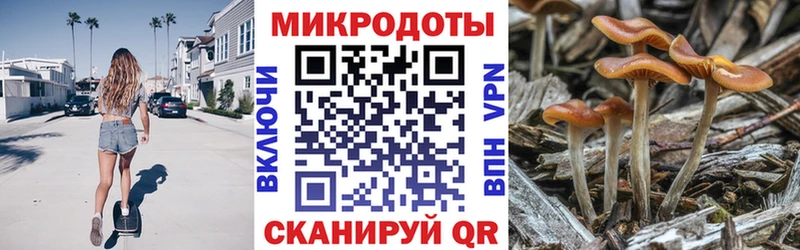 Псилоцибиновые грибы прущие грибы  дарнет шоп  Красный Сулин 