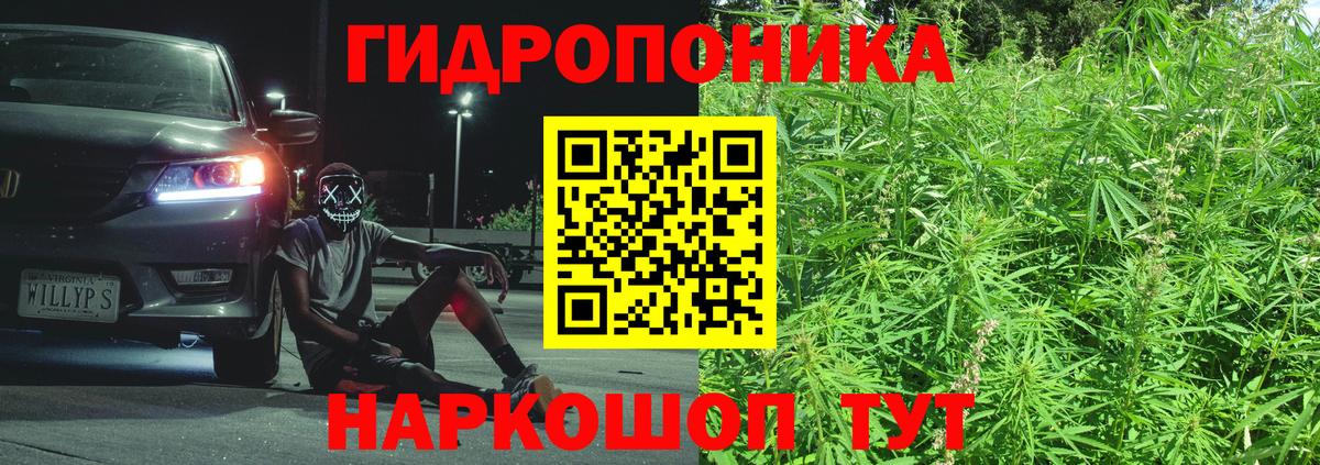 Канабис OG Kush Красный Сулин